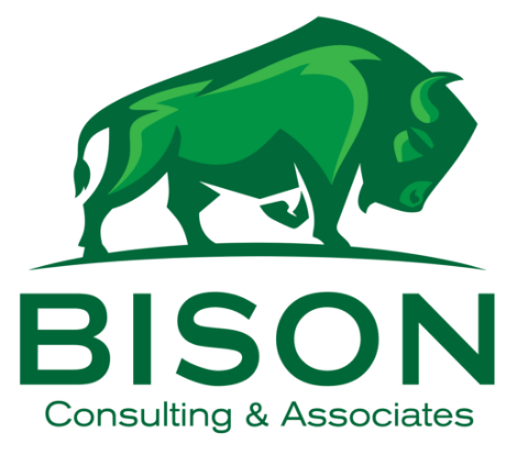 Bison Consulting & Associates